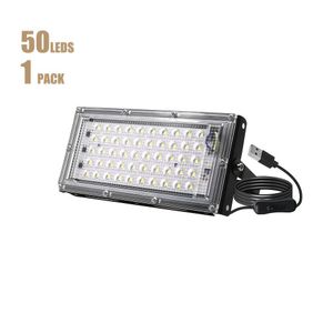 Projecteur LED ultra-lumineux 100 W 220 V avec prise de 30 cm, faisceau grand angle de 120°, idéal pour les espaces extérieurs tels que jardins, terrasses, entrepôts et pelouses. (Lumière blanche 6500 K)