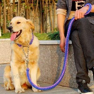 laisse tressé pour chien