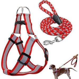 Magnifique Harnais Tour De Poitrail + Laisse Pour Chien /Chiot