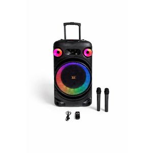 SinG-e Haut parleur sans fil rechargeable + 2 micros