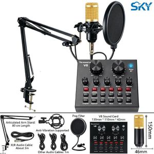 Carte son V8 + Ensemble de micro portable, Professionnel pour Live/Enregistrement