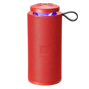 Enceinte Portable Sans Fil Étanche avec Batterie Rechargeable