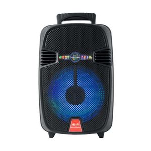 Enceinte Bluetooth Portable