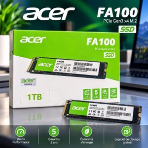 Acer Disque Dur 1TB FA100 SSD M.2 NVMe PCIe Gen3 x4 , Haute Performance