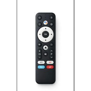 TELECOMMANDE GOOGLE TV 