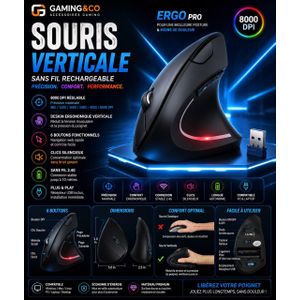 Souris Verticale Ergonomique Sans Fil 2.4G - Souris Optique de Bureau pour PC et Ordinateur Portable