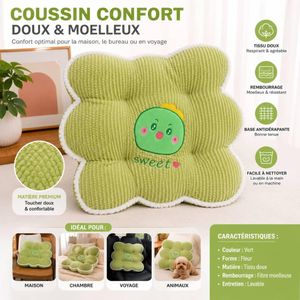 Coussin Confort Doux & Moelleux