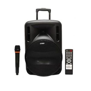 Baffle amplifier leader 102 avec clé usb et Bluetooth +1 micro 