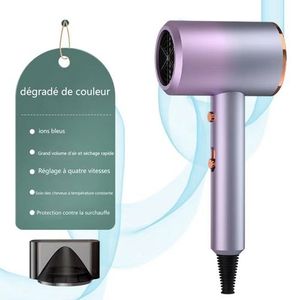 Sèche-cheveux à Technologie Ionique-Violet/1200W