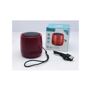 Wster Music Mini Enceinte Bluetooth WS-2922 -Noir - Prix pas cher