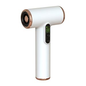 Sèche-cheveux sans fil rechargeable avec 3 niveaux de vitesse et de température réglables