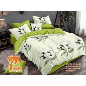 Belle Lot de 2 Draps et 4 Taies - Confort et Élégance pour Lit 3
