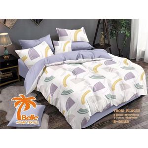 Belle Lot de 2 Draps et 2 Taies - Confort et Élégance pour Lit 3 Places 