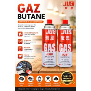 2 lot de Bouteille de gaz