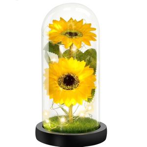 Tournesol Éternel sous Cloche en Verre avec Guirlande LED – Cadeau Décoratif Lumineux