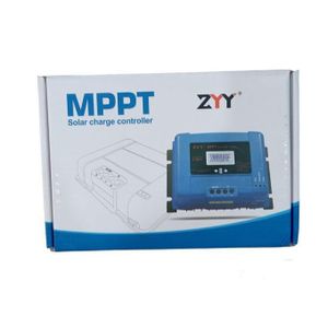 Régulateur De Charge MPPT 30A