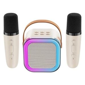 Mini Système Karaoké Bluetooth avec 2 Micros Sans Fil & LED RGB
