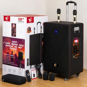 Lige Enceinte Karaoke Portable Bluetooth 15 Pouces avec 2 Micros Sans Fil