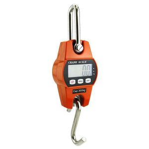Balance Peson Numérique 300kg