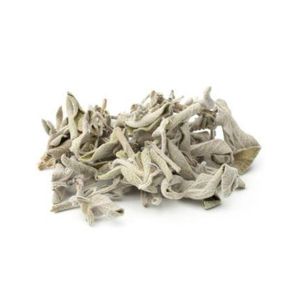 Sauge Blanche Séchée – Feuilles Naturelles