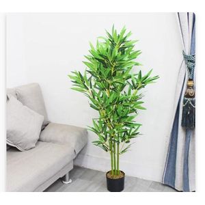 Plante Verte d'Intérieur avec Pot Noir Inclus