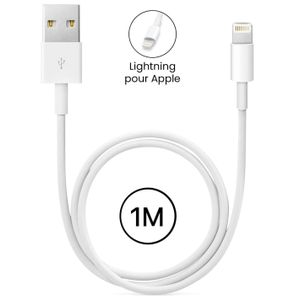Câble de Charge USB vers Lightning 1M pour iPhone - Blanc