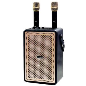 Enceinte Bluetooth Boom Bass extérieure 5.2 pouces/lecteur karaoké, 5 heures d'autonomie, enceinte sans fil pour téléphone/TV/ordinateur portable/tablette/microphone et batterie