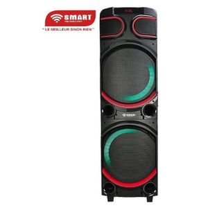 SMART TECHNOLOGY Haut-Parleur Rechargeable -STHP-3080E -1000W- 2x10'' – Bluetooth – USB – AUX – 2xMicros – Télécommande – Noir –Garantie 3 Mois