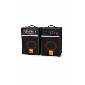 Baffle Portable Puissante avec MP3 - 2 PCS