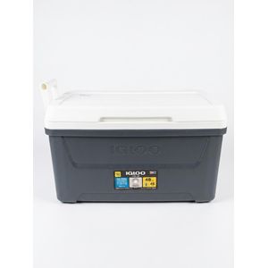 Igloo Glacière Cool 48 Rigide et Résistante -45 Litres Gris/ Blanc