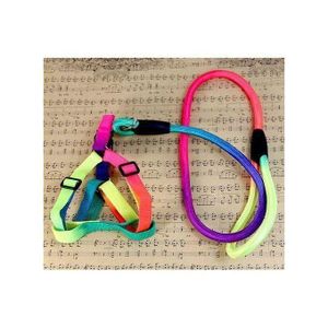 Laisse De Chien Adult