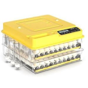 Couveuse automatique 144 oeufs 