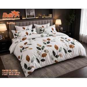 Belle Lot de 1 Draps et 2 Taies - Confort et Élégance pour Lit 3