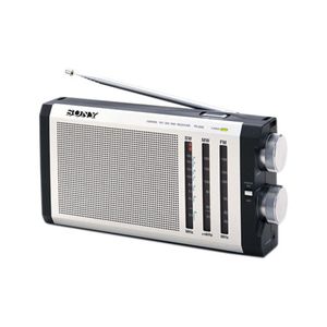Sony RADIO SONY FM SW MW À PILE ICF-19