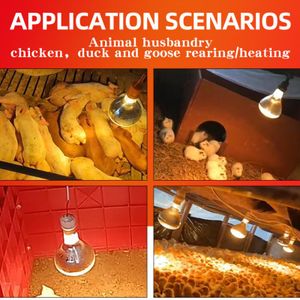Ampoules Chauffantes 220 Volt 100W, Production De Chaleur Pour Poussins Ou Couveuses