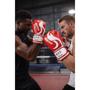 Gants de Boxe – Protection et Performance pour Entraînement