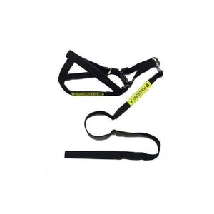 Chic Harnais Tour De Poitrail + Laisse Pour Chien /Chiot