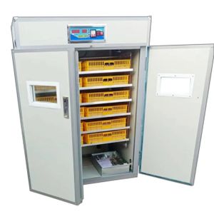 Couveuse entièrement automatique, faible consommation, capacité 1056 oeufs