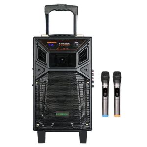 Leadder Bluetooth trolley Speaker SP -804B 2 Micro sans fil 