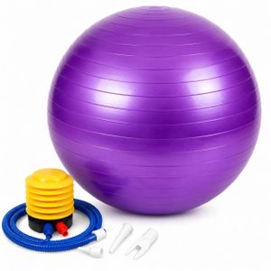 Ballon de Gymnastique Anti-Éclatement avec Pompe – Ballon de Fitness, Yoga et Pilates