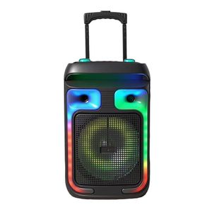 Enceinte Bluetooth Portable avec Microphones