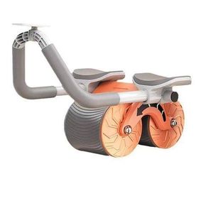 Roue D'exercice Ab RollerD'exercice