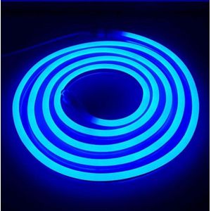 Bande De Lumière Led Neon Bleu 5metres