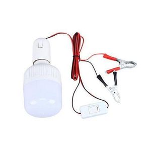 Ampoule 12 V avec pince et interrupteur, lampe de camping à batterie extensible pour marché nocturne