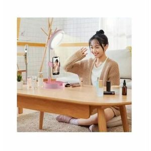 Lampe D'appoint De Bureau Pliable Avec Miroir De Maquillage -Rose