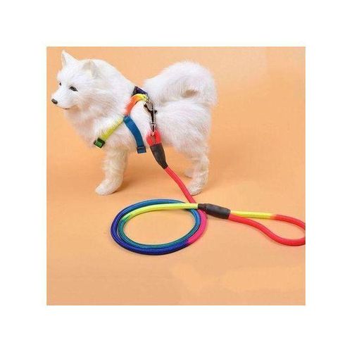 Generic Laisse De Chien Adult