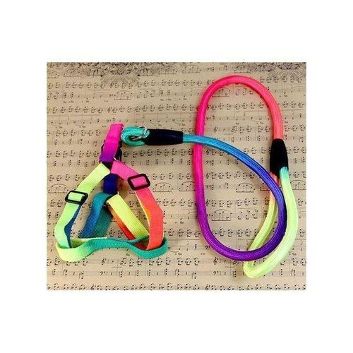 Generic Laisse De Chien Adult - image 2