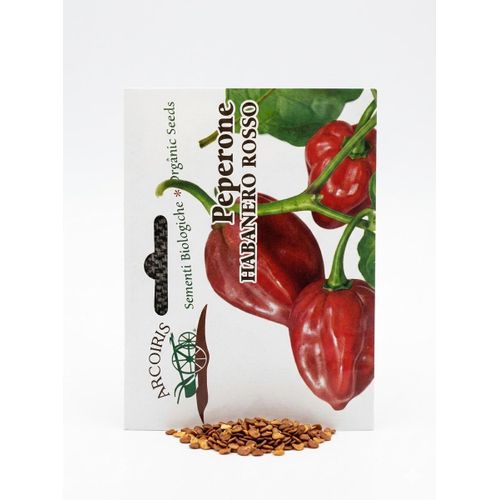 Bio Semences de tomates piment carotte salades aubergine - image 4