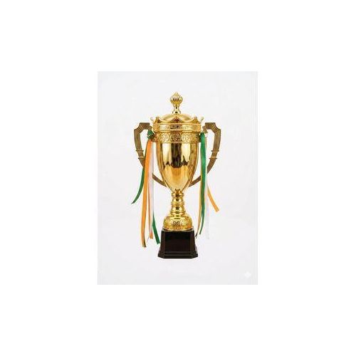 Generic Trophée moyen - image 3