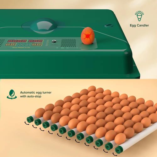 Generic Couveuse automatique 70 oeufs - image 4